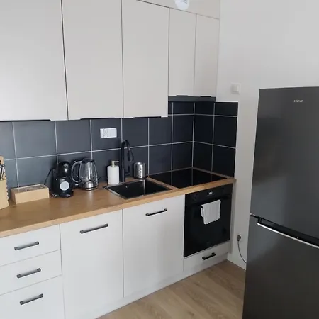 Vis A Vis Comfort By Lookap Garaż, Sauna, Jazzuzi, Basen Sezonowy Apartament Łódź