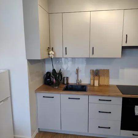 Vis A Vis Comfort By Lookap Garaż, Sauna, Jazzuzi, Basen Sezonowy * Łódź