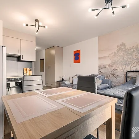 Apartament Vis A Vis Comfort By Lookap Garaż, Sauna, Jazzuzi, Basen Sezonowy Łódź